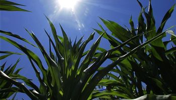 La semana se perfila para una nueva ola de calor 