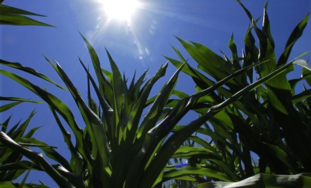 Las lluvias pueden aparecer en forma discreta, dispersa y modesta durante el jueves.