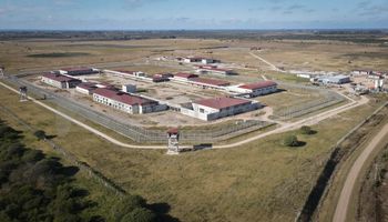 Impulsan la producción agropecuaria en las cárceles: 901 internos de 20 establecimientos federales realizan talleres de campo