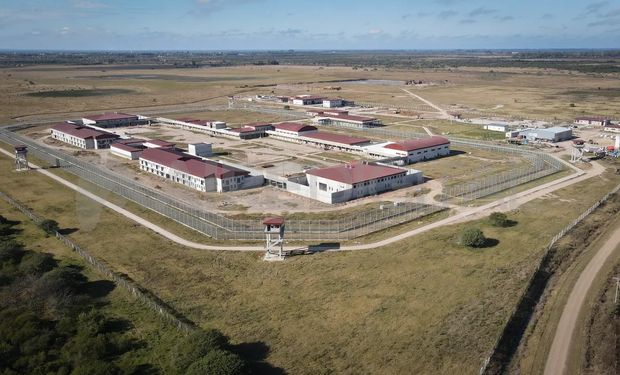 Impulsan la producción agropecuaria en las cárceles: 901 internos de 20 establecimientos federales realizan talleres de campo