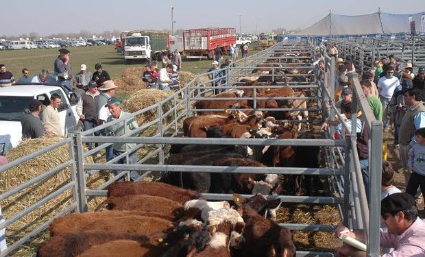 Los versátiles corrales de Farmquip en el sector ganadero de la muestra