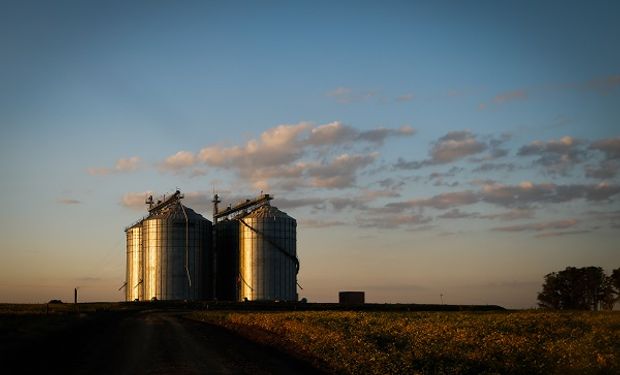Ante la noticia de que el corredor de granos podría no reanudarse, los cereales ganaron cerca de US$ 4 por tonelada