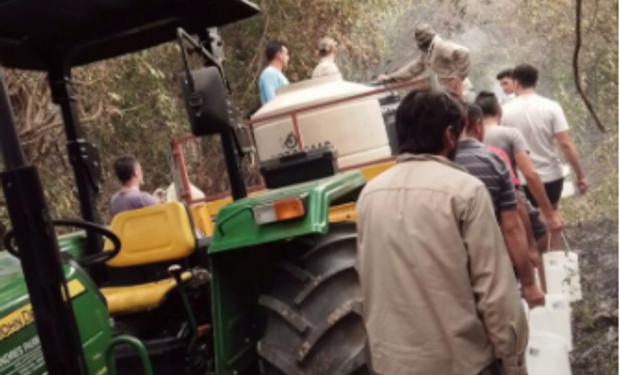 “Es una verdadera tragedia": el duro testimonio de una productora apícola de Corrientes