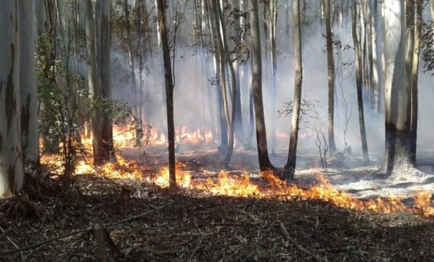 Declaran la emergencia agropecuaria en Jujuy y Catamarca y otorgan beneficios a los productores afectados