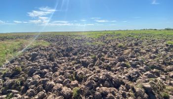El negocio oculto que arrasa campos en Corrientes: pozos, incendios y un daño que alarma a los ganaderos