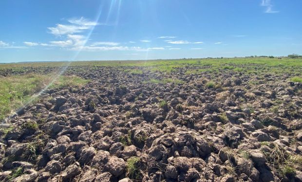 El negocio oculto que arrasa campos en Corrientes: pozos, incendios y un daño que alarma a los ganaderos
