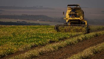 Senar lança curso de produção e comercialização de feijão