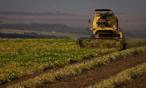 Um dos projetos abroda desenvolvimento de cultivares de feijão para o agro. (foto - Sistema CNA/Senar)