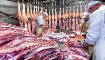 Frigoríficos exportadores planean duplicar las ventas tras la apertura de China