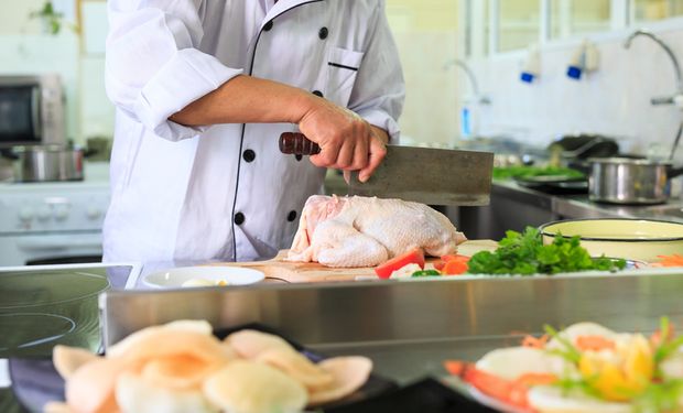 Preços do frango e do suíno recuam forte no atacado em maio