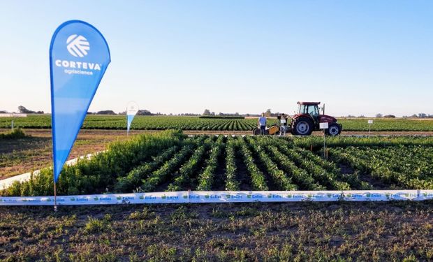 ¿Un nuevo gigante del agro? La decisión que marcaría una nueva era en el mercado agrícola