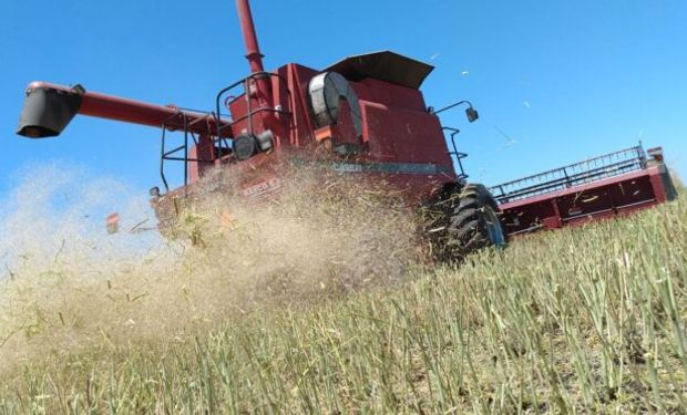 Invertir en el agro: el fondo que cierra la campaña con un retorno del 22% en dólares