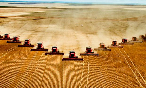 Soja y maíz: el USDA confirmó el recorte productivo por la sequía