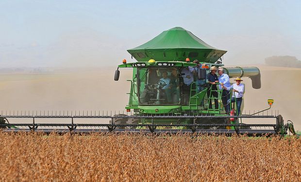 La soja supera los US$ 600 por un fuerte recorte de la cosecha brasilera