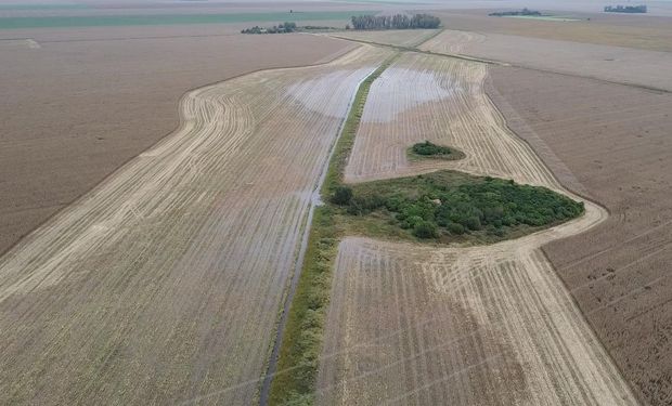 Evitó destruir su campo gracias a la tecnología