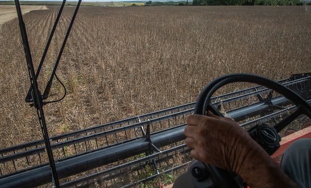 Desafío cosecha: a cuántos km/h conviene avanzar para evitar perder más de 100 kg de soja y maíz por hectárea