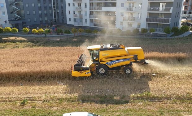 Se negó a vender el campo y ahora cosecha entre edificios