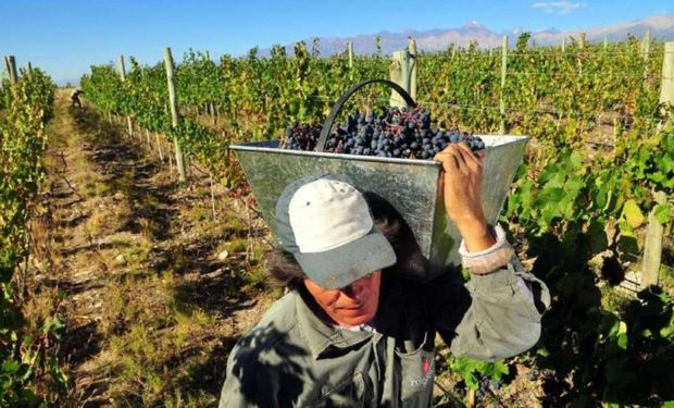 Radiografía de la industria vitivinícola: destacan que el 43 % del precio final de una botella se lo lleva el Estado