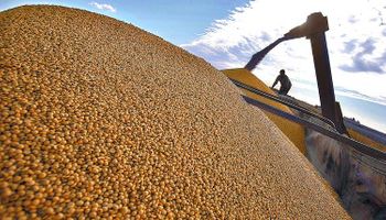 Los dólares del campo quedaron en la mira oficial