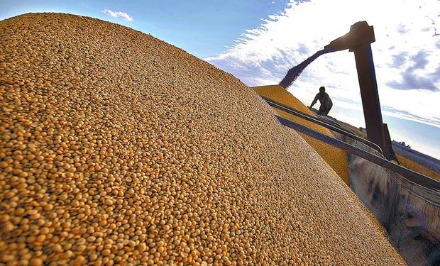 Los dólares del campo quedaron en la mira oficial