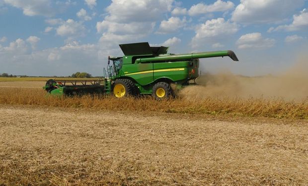 Se presenta hoy: cuál es el informe que asusta al mercado de soja y maíz