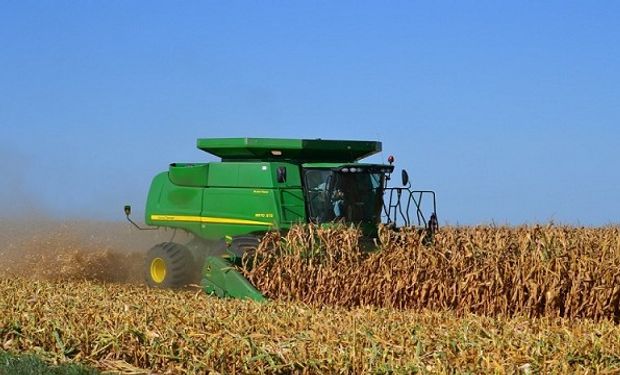 Se mantienen las proyecciones de la campaña gruesa a pesar de la interrupción en las lluvias y las altas temperaturas.