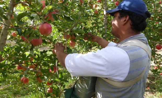 Economías regionales en rojo por altos costos y la sequía