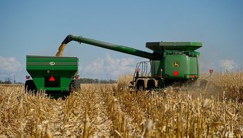Soja y maíz: comienza la cosecha en Estados Unidos y presiona al mercado