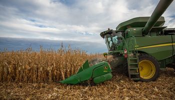 Soja y maíz: cómo avanza la cosecha en Estados Unidos