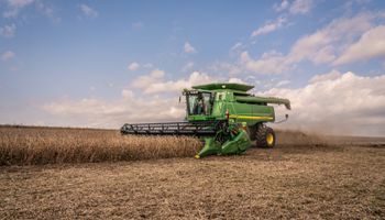 La soja y el maíz suben ante el lento avance de la cosecha en Estados Unidos: cuánto se pagó en Rosario