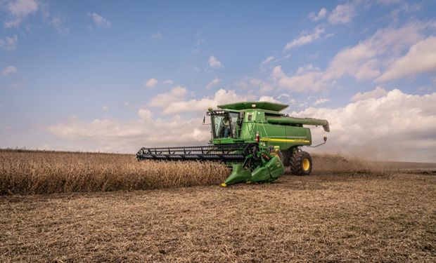 La soja y el maíz suben ante el lento avance de la cosecha en Estados Unidos: cuánto se pagó en Rosario