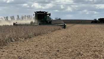 Una buena noticia para la cosecha: el fenómeno Niño ya no ejerce influencia sobre el centro del país