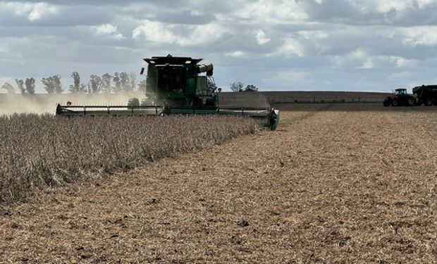 Una buena noticia para la cosecha: el fenómeno Niño ya no ejerce influencia sobre el centro del país