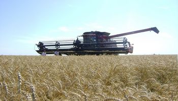 Santa Fe: avanza la cosecha de trigo y el maíz se encuentra en buen estado