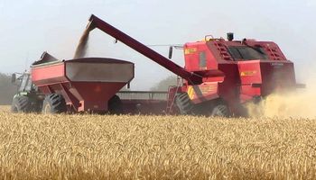 Se pierden US$ 47 por hectárea de soja a causa de una mala regulación en la cosechadora
