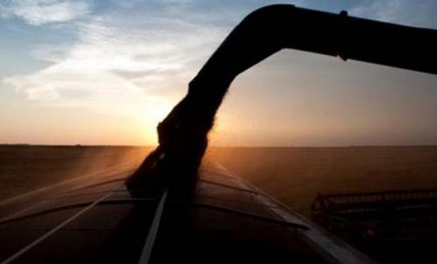 Abiove ha incrementado su estimación de la producción y exportación, lo que afecta a las cotizaciones externas.