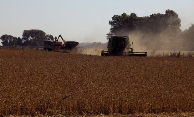 "De la crisis salimos en conjunto": la carta de instituciones agroindustriales al Gobierno por el Mercosur