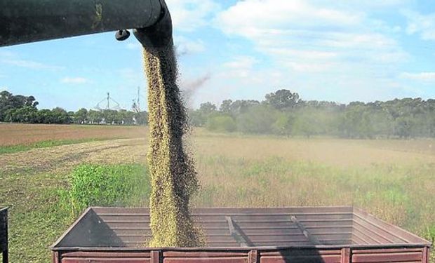 Sector agroindustrial argentino facturará US$ 47.000 millones en 2017.