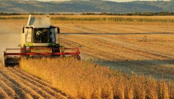 Estiman el valor de la cosecha en US$ 34,6 mil millones