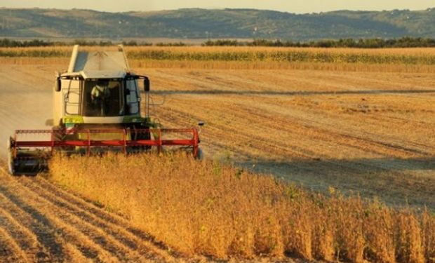 Contribución de la agroindustria a la economía en 2017.