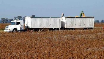 Cosecha en Argentina: faltan camiones para el transporte