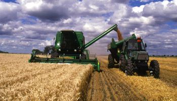 Cifras alcistas del USDA para la cosecha de Argentina