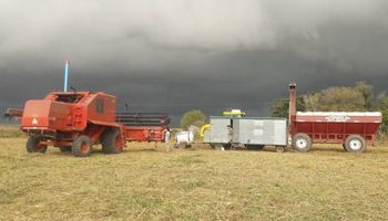 Cosecha interrumpida en el centro norte de Santa Fe