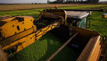 El potencial del campo argentino en una producción que pasó de nicho a industria multimillonaria en menos de una década: "La calidad argentina es altamente demandada y reconocida"
