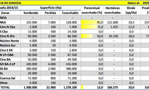 Cosecha de girasol. Datos al 29/01/2015. Fuente: Bolsa de Cereales de Buenos Aires