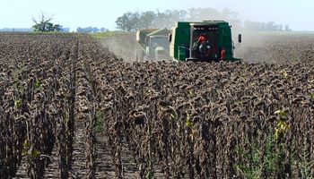 De manera condicionada, regresan las actividades agrícolas al campo