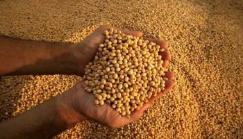 Brasil: cosecha de granos sigue batiendo récords