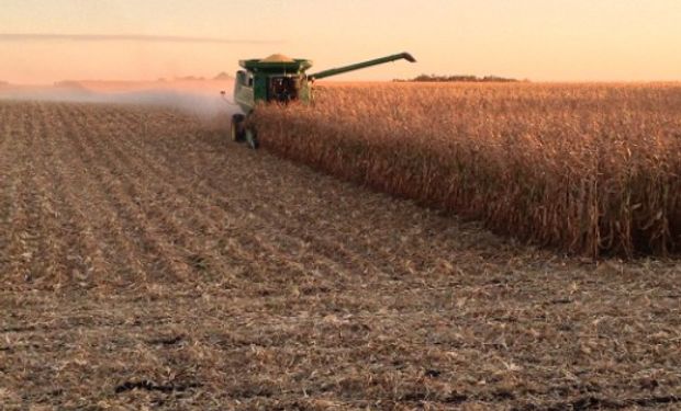 Comienza la cosecha de soja y maíz en EE.UU.