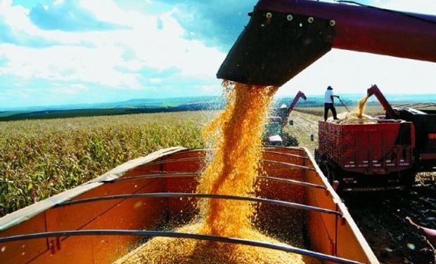 Cosecha récord en Brasil: 193 M de toneladas