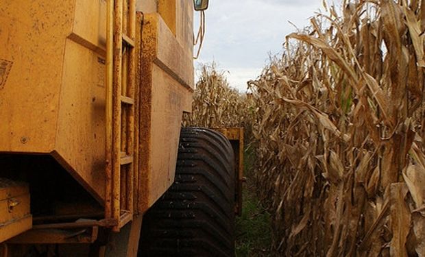 Ucrania y Rusia: récord de exportaciones de maíz en 2013